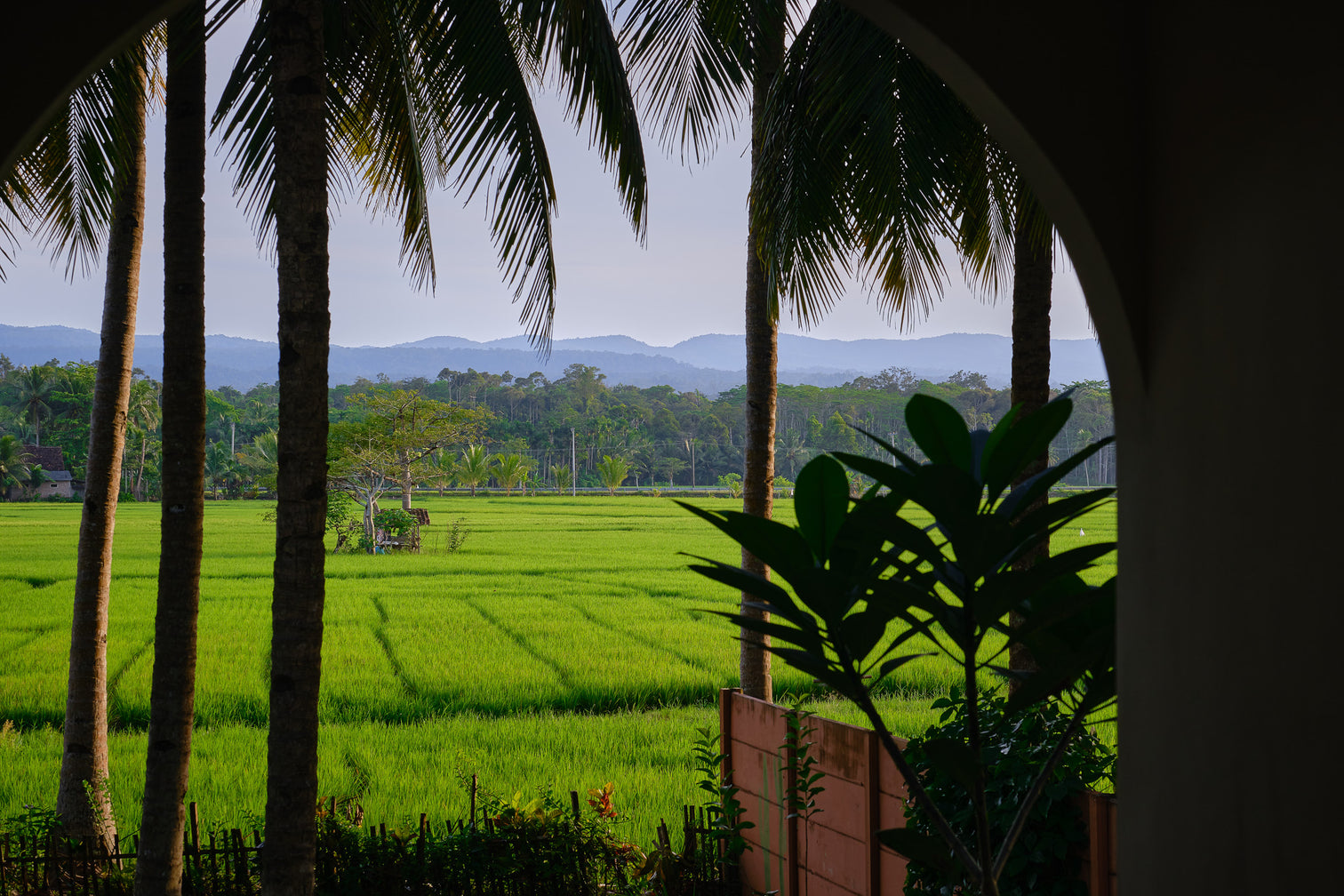 Villa Ono — view 6
